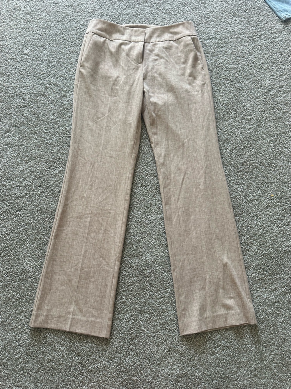 Ann Taylor Beige Straight-Leg Dress Pants